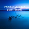 Relaxation Sommeil et Détente - Musique et Méditation Intérieure