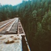 Palinopsia - Stand By Me