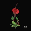 Tiff - Lost