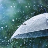 ILL Fine - Rain