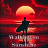 Beach Party Chillout Music Ensemble - Ibiza Sunlight Grooves