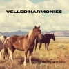 Zee Geluiden、Natuurgeluiden、Dromerige Natuurgeluiden - Velvet Echo (Loopable, No Fade)
