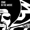 Zsak - In The Music