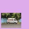 gold panda - 222