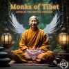 Satorio、Monk Healing Tones、Manifestation Frequencies - Zenful Zest