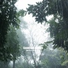 Essential Nature Sounds - Drizzle Dance