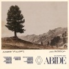 Aaron Williams、Jon Reddick - Abide