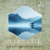 Buddhist Fusion、Buddha Lounge、Peaceful Clarity - Cultivate the Eastern Life Philosophy, Colorful Sea Sound