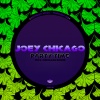 Joey Chicago《Party Time》[MP3/LRC]