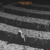 Colin Reed - Through a Maze