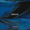 .X - peanuts.29