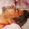 Mother Nature Sound FX - Bound By Bed
