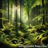 Songbirds、Bird Sounds、Nature、Birds - Birds Singing Beautifully, Whispers of the Dawn