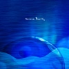 Serena Beatty《Tranquil Tide Tunes》[MP3/LRC]