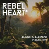 Acoustic Element、Jimmy Nevis - Rebel Heart