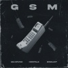 MAXPVNK、HOST1LE、Diseleit - GSM