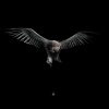Tonek Beats - OBSCURITÉ