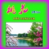 思念有品人生 - 桃花 (女声版)