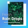 Rain Recorders - Rainy July