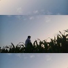 张业忠 - 孤单的颜色