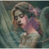 Zen Mental Relax Sanctuary - Whispers of the Sky