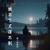 雷一轩 - 放不下又得不到 (伴奏)