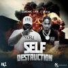 Jinyus、ChronicLaw - Self Destruction (Explicit)
