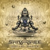 Shivatree - Digital Space (Original Mix)
