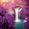 Music For Absolute Sleep、Deep Sleep Music Academy、Music and Sleep - Sleep Eternal