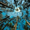 Regengeräusche、Regen、Green Noise 8D《Serene Sounds Nature's Lullaby》[MP3/LRC]