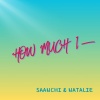 Saanchi - How Much I