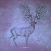 Schuerfes - Sidereal Motion