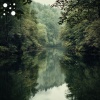 Calming Nature by Cloud Bed、Chillout Lounge Music - Riverbank Reflections