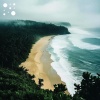 Mystic Meadow Music、Study Time - Whispering Winds