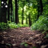 SoundScape Studio、Peaceful Earth - Autumn River Flow