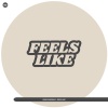 Igor Pumphonia - Feels Like