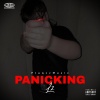 L2 - Panicking (Explicit)