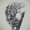 Olivier Weiter、Seismal D - Diversum (Seismal D Remix)