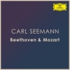 carl seemann《Beethoven: 6 Variations in G Major, WoO 77: Theme. Andante, quasi allegretto》[MP3/LRC]