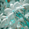 Bhyos - Transmission Lost