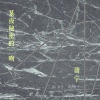 唐宁 - 某夜秘密的一吻