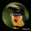 Slow Nomaden - Energia