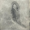 Hunt - Unfurling Forgotten Wings