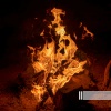 Sounds Of Fire、Sounds Of Fireplace、Sounds of Nature Zone - Calming Campfire