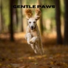 Chiens relaxation profonde、Puppy Music、Music For Dogs Peace、Relaxing Music for Dogs《Gentle Paws (Loopable, No Fade)》[MP3/LRC]