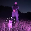 Asadjohn、Haiyti - Kampfhund Im Club - 2024