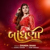 Dhara Shah - Bandhani