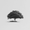 Piano Pill - New Life
