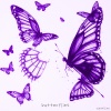 wyddillan - butterflies. (Explicit)