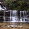 Waldgeräusche、Vogelstimmen、Naturgeräusche und Vogelgezwitscher - Tranquil Drift (Loopable, No Fade)